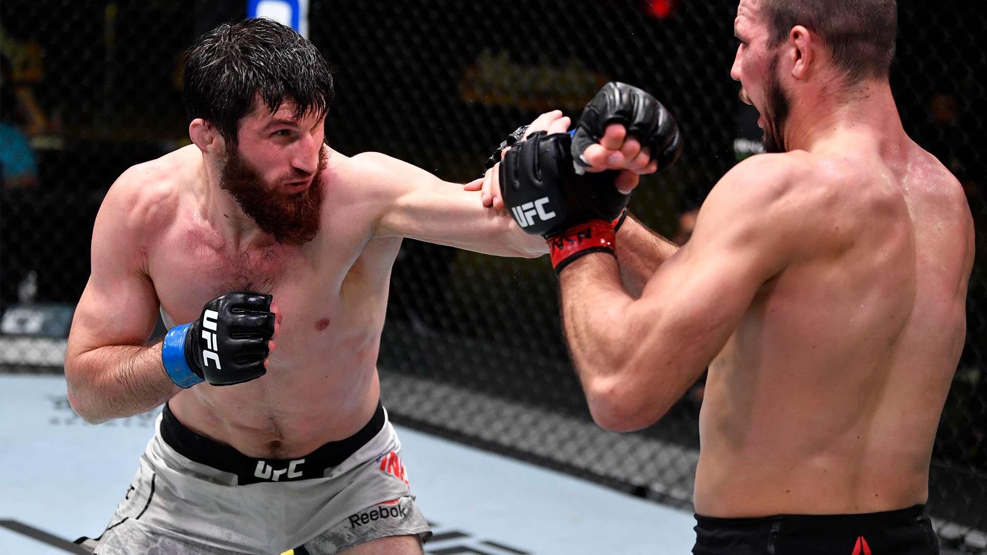 还有看似矛 还有看似矛