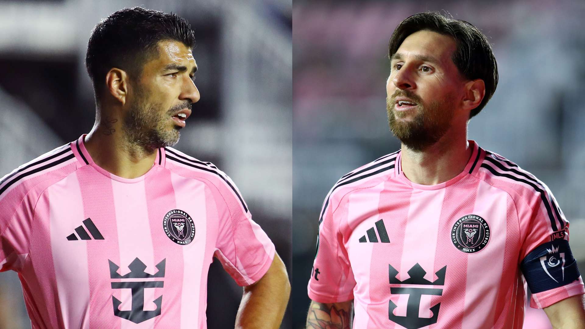 山东泰山可 山东泰山可